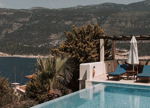 Things to See and Do When Visiting Socotra Island