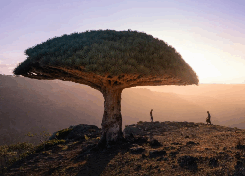 Travel the most beautiful places in the world
